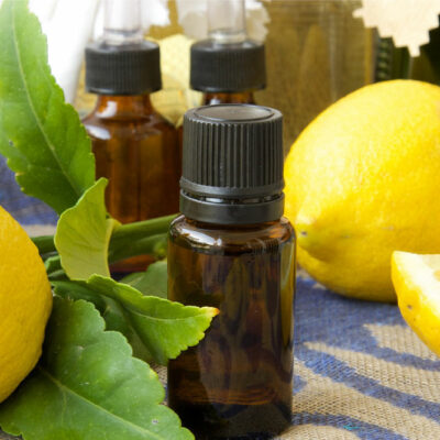 8 natural scents that repel mosquitos